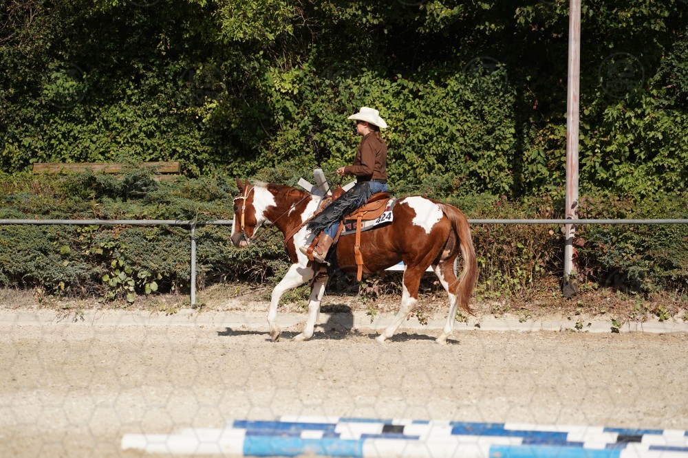 s_A_908326.JPG